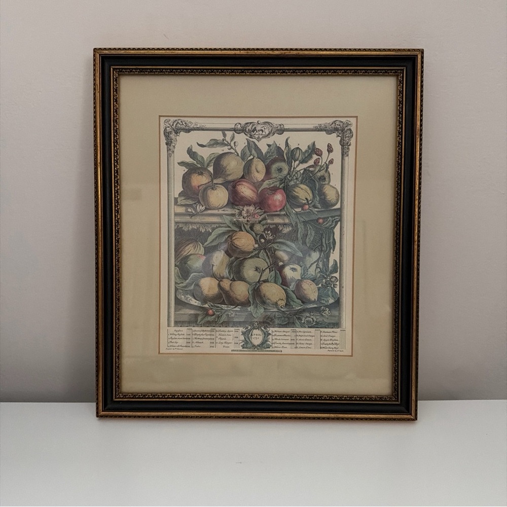 Robert Furber Twelve Months Of Fruit April -Vintage Custom Framed Print 11x12.5